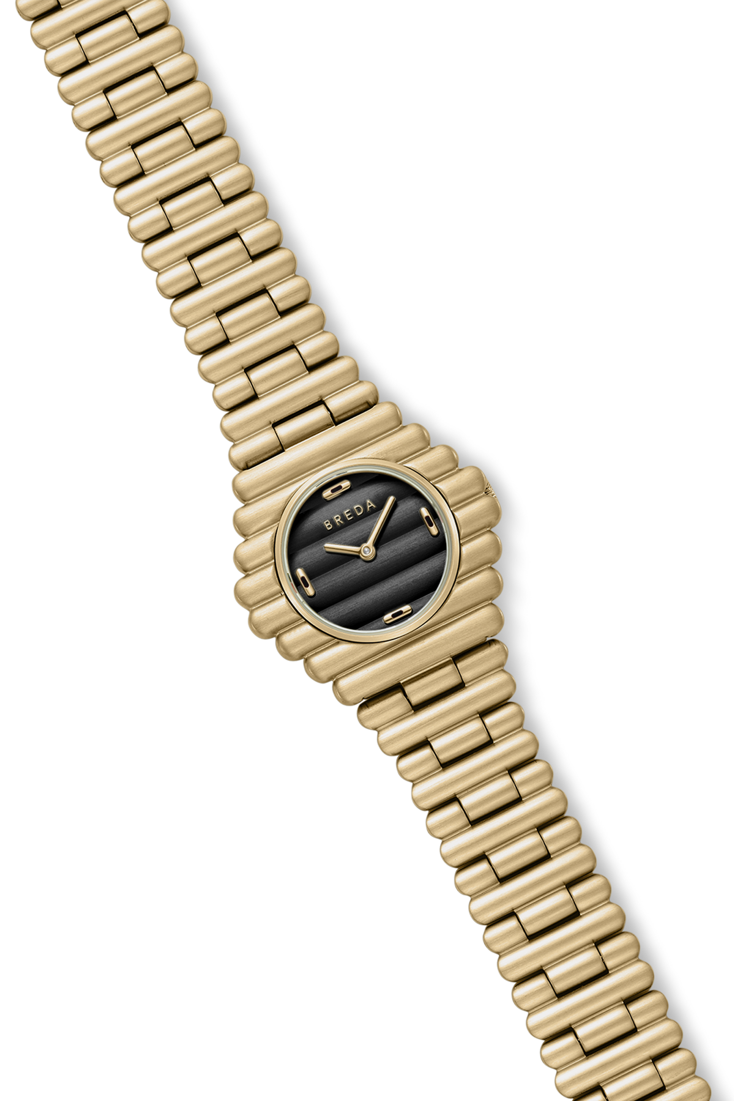 Coda - Gold/Midnight