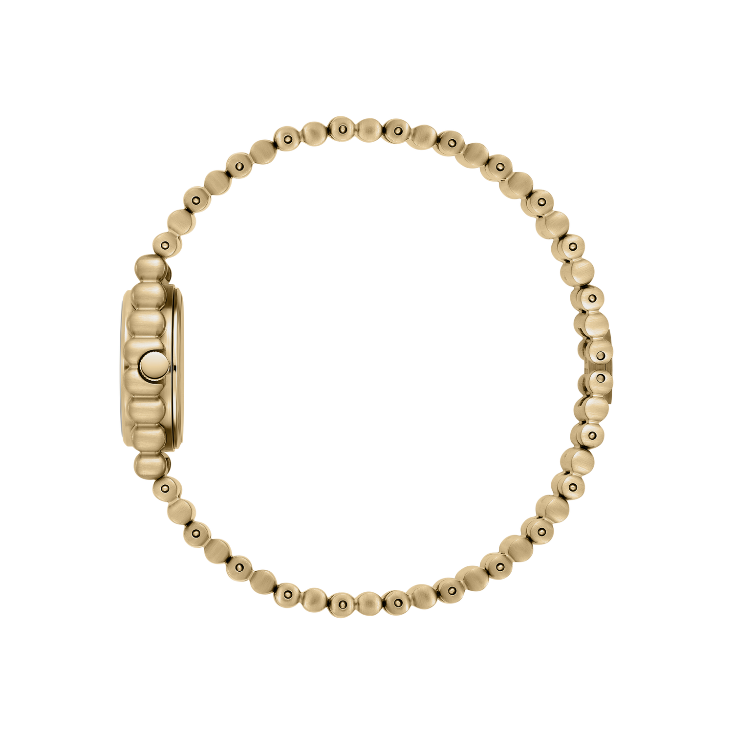 Coda - Gold/Midnight